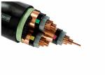 N2XSRY 12/20KV3 X300SQMM CU / CTS / PVC XLPE Insulated Cable High Voltage