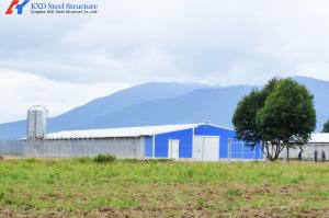 Wholesale Automatic Steel Poultry House Prefab Broiler Chicken Houses Steel Structure from china suppliers
