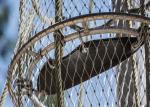 Corrosion Resistant Decorative Rope Mesh Aperture 25x25 - 200x200mm For