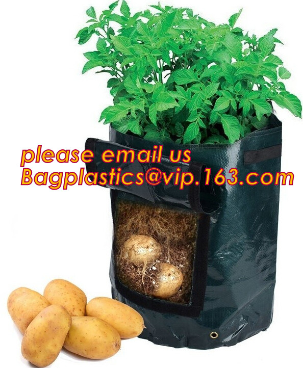 100% Biodegradable mulch, biological degradation processes, fruit box,flower pot,jute cloth,cultivating bag,jute net,net