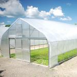 Hot Sale High Tunnel Plastic Single Span Greenhouse Agriculture For Vegetable