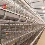 Automatic Poultry Egg Chicken Battery Laying Cage A Type Rose