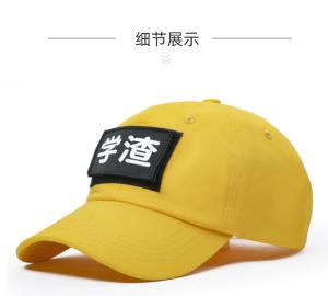 Wholesale 6 Panel Outdoor Embroidery Baseball Caps Unisex Plastic Button OEM from china suppliers