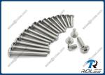 18-8/316 Stainless Steel Hex Drive Truss Head Screw Allent Bolt