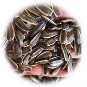 Wholesale Sunflower Seeds T5 The Ultimate Snack for Health-Conscious Consumers from china suppliers