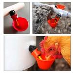Plastic PP Tee Water Drinking Dispenser Heat Resistance For Quail Pigeon