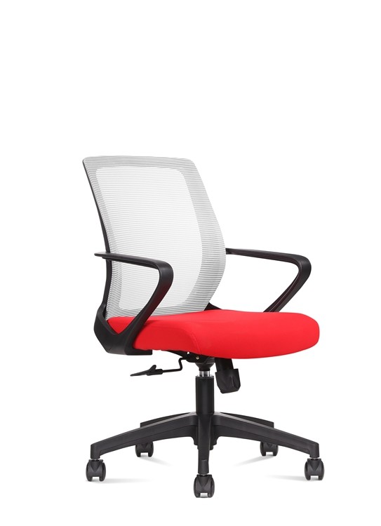 Medium Back Red Ergonomic Mesh Executive Chair, with Lumbar Support put in the office
