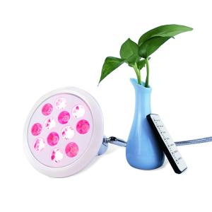 Wholesale 3 Inch Portable Red Light Therapy Device E27 Near Infrared Lamp from china suppliers