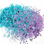 Cosmetic Chameleon Glitter Nails Decoration for Chinese Year Occasion Shifting