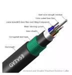 GYTY53 Anti Rats Fiber Optic Cable Single Mode Armored 24 Core G652D PE Jacket