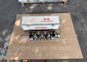 Wholesale MAMUR Crankshaft For FOTON 1036 QUANCHAI QCN490 Truck Auto Part from china suppliers