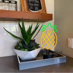 6x17 Home Decor Neon Signs 12V UL Neon Light Wall Decor