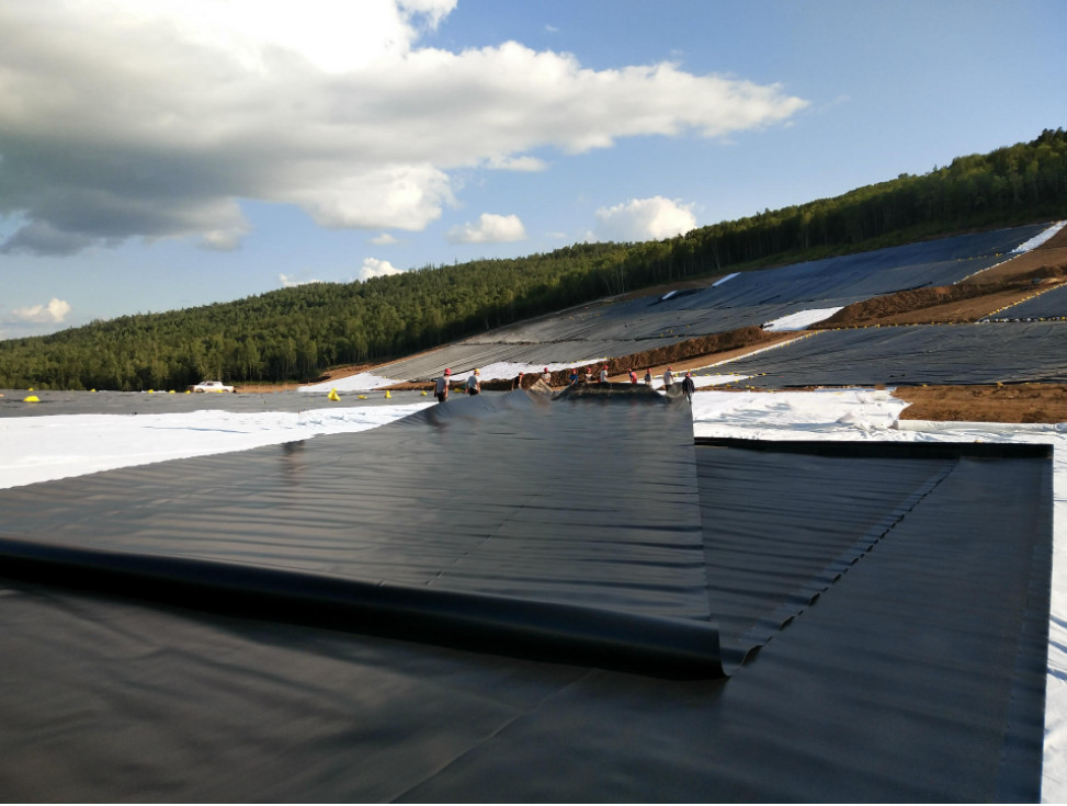 Double Smooth 0.5mm 0.75mm 1.5mm 2mm HDPE Plastic Geomembrane Fish Farm Pond Liner Sheet