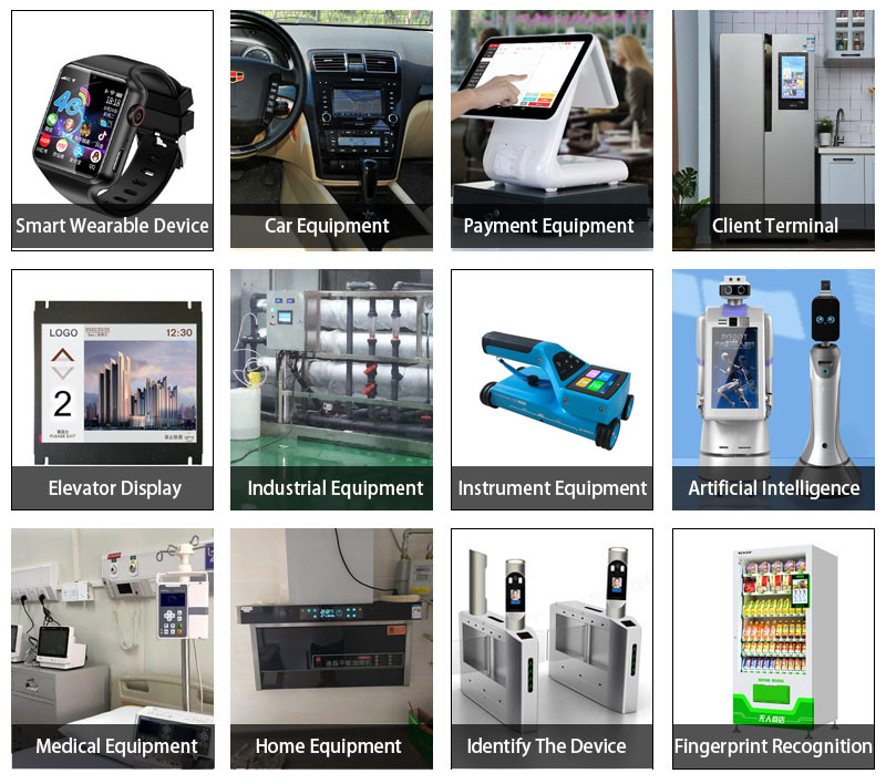 1024x600 SPI Screen 10.1 Inch IPS LCD Display With Capacitive Touch Panel