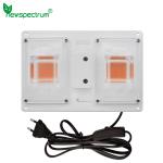 220v COB LED Chip