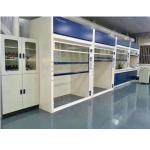 Walk In Modern Laboratory Furniture Fume Chamber In Chemistry Laboratory