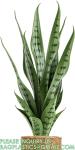Artificial Snake Plant 26 inches Fake Sansevieria Artificial Potted Plants for