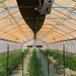 150 Micron Transparent PE Film Auto Greenhouse Blackout Kit