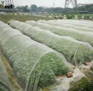 Wholesale HDPE Greenhouse Bird Netting 20gsm - 30gsm Insect Netting For Garden from china suppliers