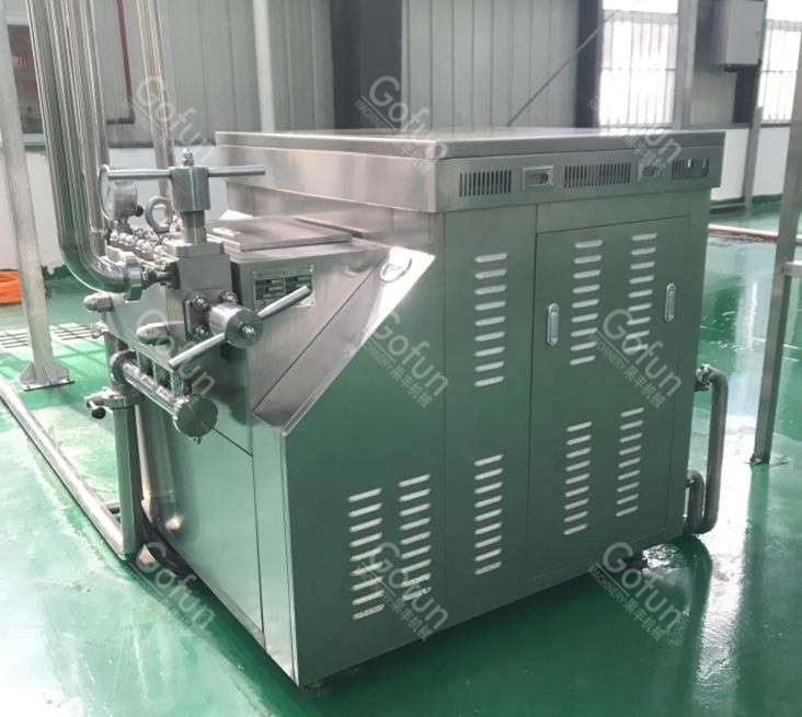 Industrial Turnkey Mango Processing Line With Destoning Removing System