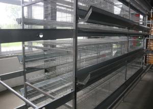 Wholesale Conventional H Frame Chicken Egg Cage For Laying Hens Free Layout Design from china suppliers