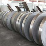 Duplex Stainless Steel Precision Strips Mechanical Strength For Cargo Tanks