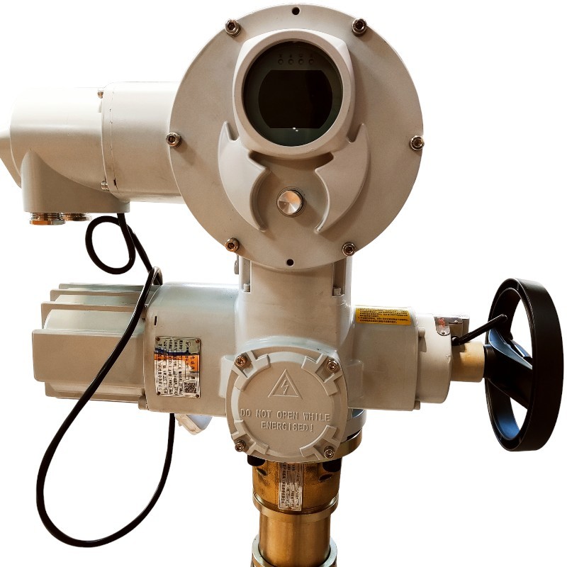 Custom Explosion Proof Electric Actuator F Insulation Level 440v