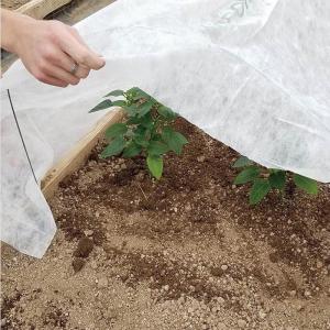 Wholesale Anti Uv PP Spunbond Non Woven Agricultural Crop Cover For Cold Weather Protection from china suppliers