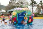 Colorful Carp Spray Park Equipment / Kids' Water Playground