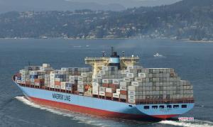 Wholesale Speedy Ocean Freight Shipping From China To USA from china suppliers