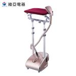 220 V Bottom Drain Plug Laundry Garment Steamer Flat Alumium With Hanger