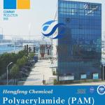 Water Treatment Chemical Flocculant Cationic Polymer Flocculant Polyacrylamide