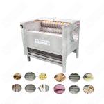 Automatic Potato Washing Peeling Machine Onion Washing Machine