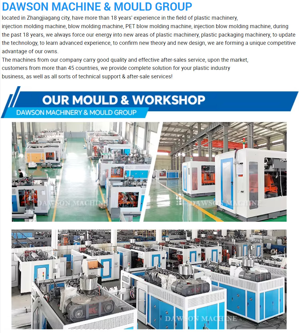 Automatic Pesticide Bottle Extrusion Blow Molding Machine Plastic hdpe