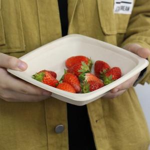 Wholesale Eco Biodegradable Sugarcane Disposable Bowls 16oz Square Bowl With Lid from china suppliers