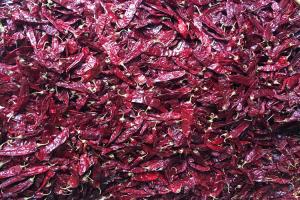Wholesale 240ASTA Sweet Paprika Pepper Seedless Dried Whole Red Chilies NO Pigment from china suppliers