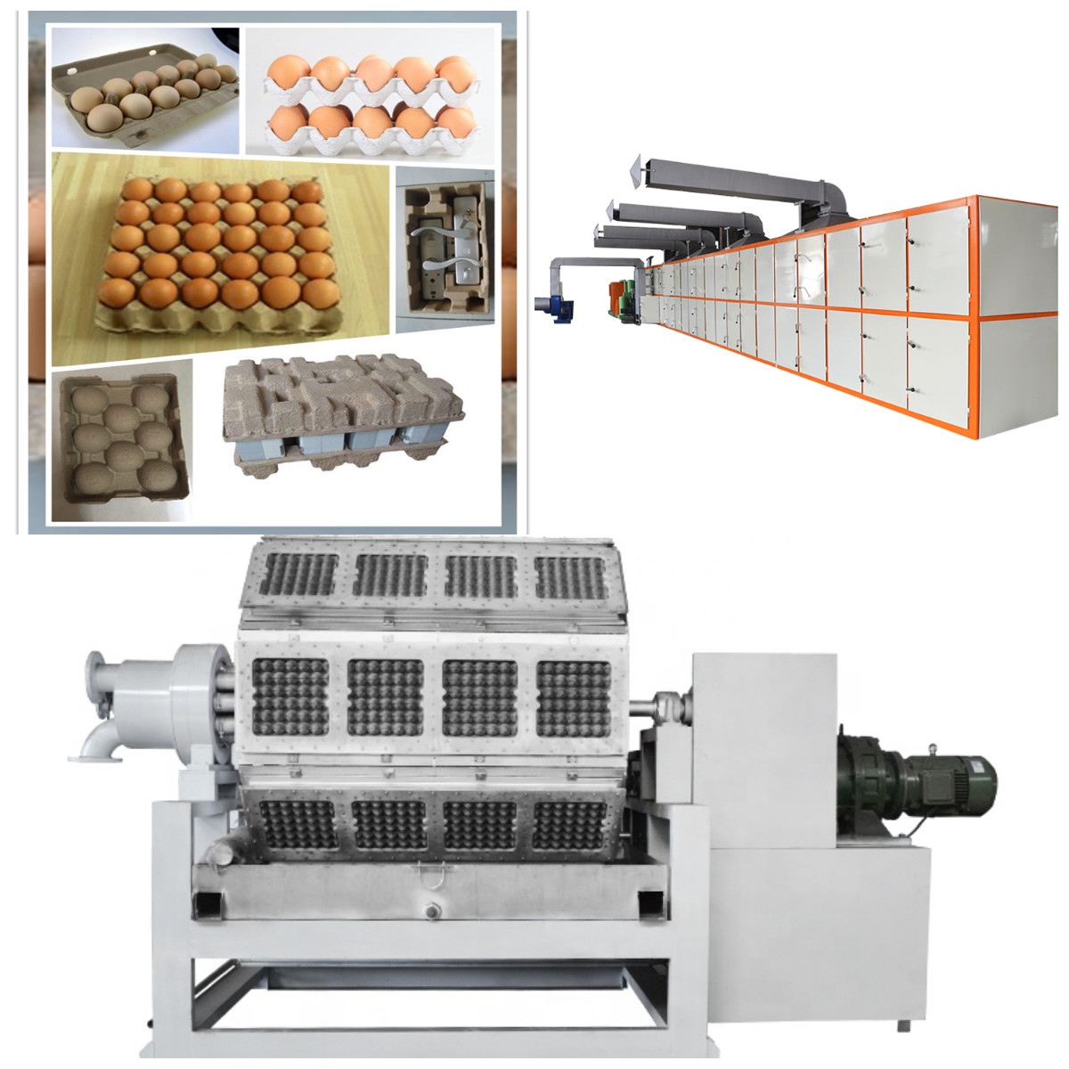 Automatic Rotary Egg Carton Production Line Egg Tray Making Machine With Cast Iron And Steel Structure