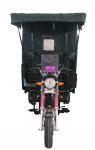 Enclosed Cabin 150cc 50km/H Covered Three Wheel Motorcycle