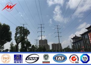 Wholesale OEM Communication Steel Tubular Pole Artifical Antenna Tower Cell Camouflaged Pole from china suppliers