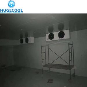 Wholesale Fresh Keeping CFC-Free PU Panel Cold Room from china suppliers