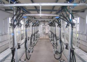 China Layout Compact Milking Equipment Herringbone Milking Parlor For Goat Farm on sale