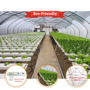 Wholesale tunnel green house vegetable lettuce pe film greenhouse with nft from china suppliers