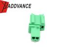 3C0973332C 2 Pin Male Green PA66 FEP Electrical Connector Housing For VW Audi
