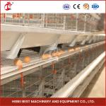 Automatic Battery Egg Layer Chicken Cage Equipment Farm Poultry Laying Hens Rose