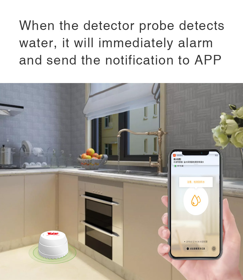 95%RH Wifi Enabled Water Leak Detector DC3V Smart Alarm Sensor