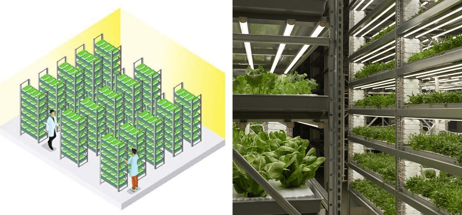 Growers Republic 520W Indoor Grow Lamp For Plants
