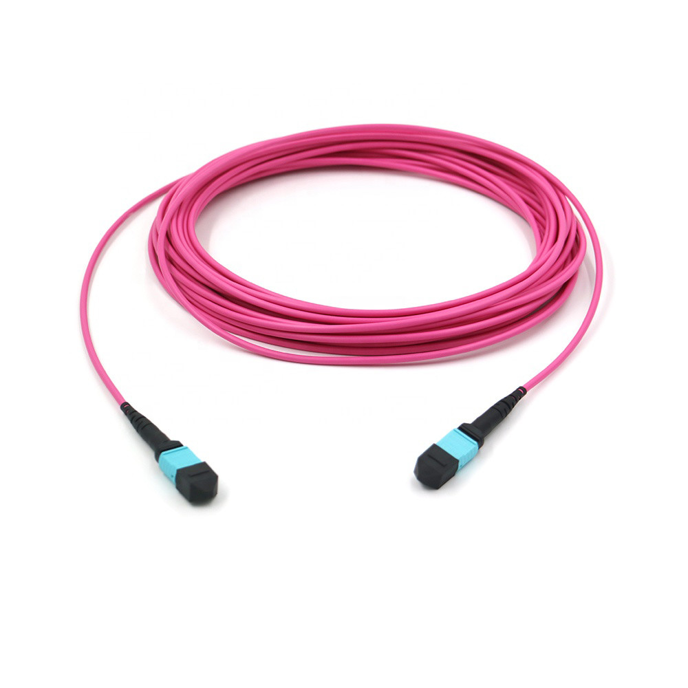 Elite Multimode OM4 50/125, Plenum OFNP Type B MPO patch cord 1m 3ft MTP-12 PC Female to MTP-12 PC Female