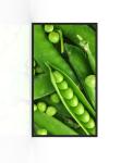 4000nits IP67 Waterproof Outdoor Led Display Screen Panels 55inch ODM