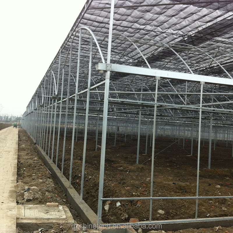 Galvanized Steel Frame Single Layer Film Greenhouse For Large Scale Commercial Farming