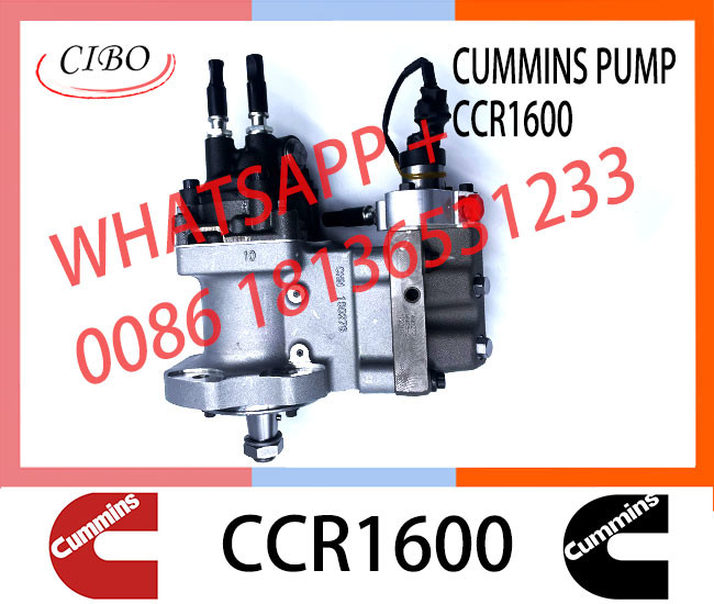 QSL8.9 fuel Injection Pump 4921431 2872191 3973228 3973228 3977327 pump CCR1600